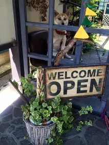 Yasuragi Guest House & Bar - Image 3