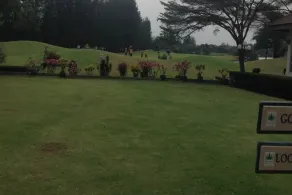 The Pine Golf & Lodge - Image 4