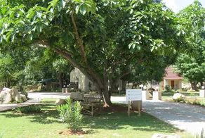 Monkey Thorn Guest Lodge - Image 5