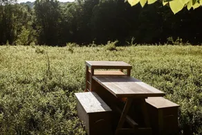 Tentrr - Camp Sugarbush - Image 4