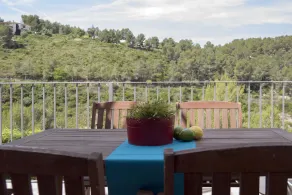 Villa Mont Rodó Mas Alba - Image 3