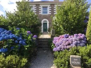 Ivy House Cornwall B&B - Image 5