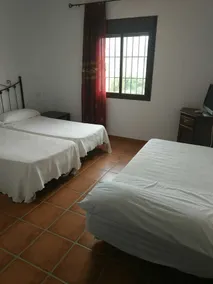 El lagar De Pepe - Image 4