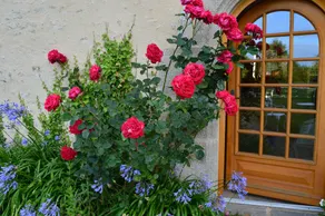 Manoir de Lesplouenan - Image 2