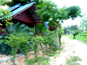 Bangrak Bungalow - Image 4
