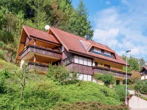 Scenic Apartment in Bad Rippoldsau with Balcony & Parking - Image 4