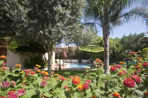 Regina's Exclusive Villas - Image 5