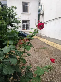 Elysia Hostel - The Blessed Home - Image 4