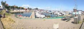Balliwood - Image 2