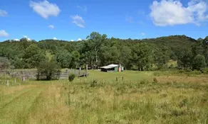 Four Bull Hut - Image 5