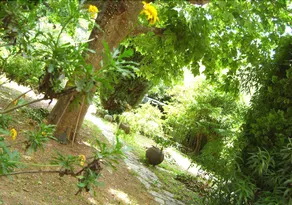 Le Prado De St Raph - Image 4