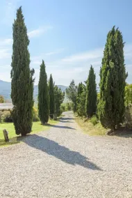 Verdidea Podere Del Mezzadro - Image 4