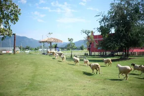 Inursing Resort OonValley Chiang Mai - Image 5