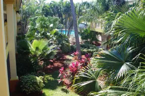Best Western Plus University Inn - Image 4