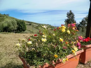 Agriturismo Colle Del Sindaco - Image 5