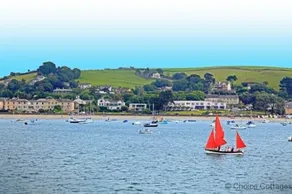 Appledore Escape Cottage - Image 4