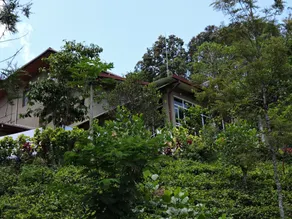 Guest At Bandarawela - Image 5
