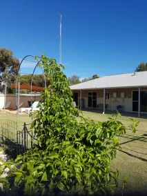The Heights Bed & Breakfast - Image 4