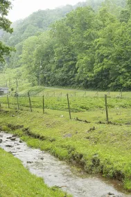 Country Road House and Berries - Image 4