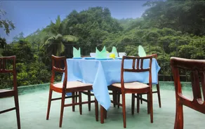 Forest Glen - Image 5