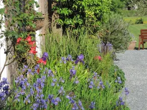Court Barn Country House Hotel - Image 3