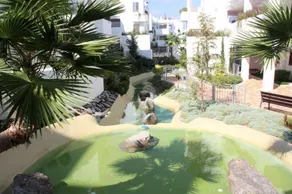 Palmera apartamento con balcon azotea y piscina comunitaria - Image 4