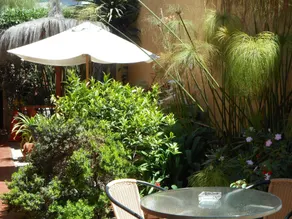 Hostal Balmaceda - La Serena - Image 3