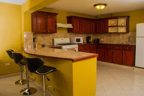 Villa Riana Barbados - Image 3