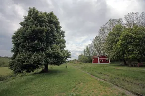 La Estación De Rabanera - Image 3