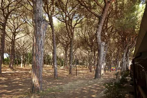 Villaggio Golfo degli Etruschi - Image 2
