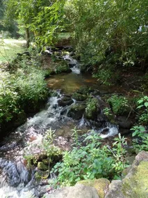 Creekside Paradise - Image 4