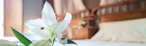 A Aira da Petada Hotel Boutique - Image 3