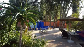 Riad Baoussala - Image 4