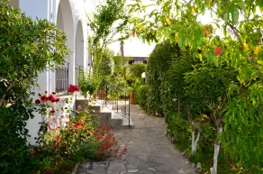 Villa Kostas - Image 3