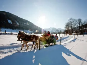 Luxurious Chalet Near Ski Area in Murau - Image 2