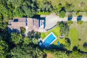 Finca Tomas - Image 4