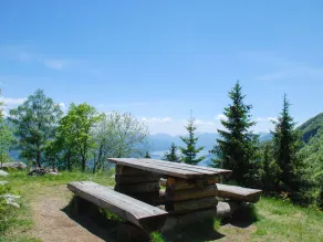 Pimpisnino Brissago in Brissago - Image 5