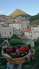 B&B Monte Mare Tortora - Image 5