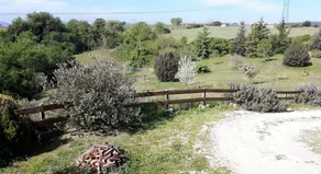 La Casa Fiorita - Image 4
