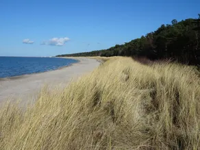 Strandvilla-Lubmin - Image 5