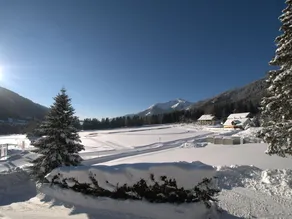 Charming Chalet in Hohentauern Near Ski Lift - Image 3