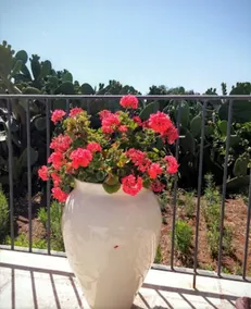 Elegant Double Room in Ancient Masseria Near the sea in a Quiet Olive Trees - Image 2