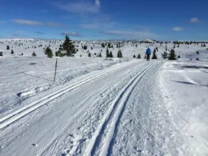 Lilleset Cabin - Gol - Image 2