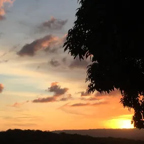 Sunshine Coast Tropical Getaway - Image 3
