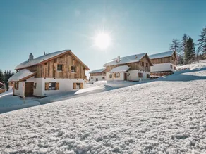 Lovely Chalet in Weißpriach Near Ski Lift - Image 2