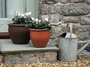 Bishops Farm Studio - Image 3
