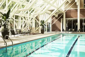 Sheraton Tysons Hotel - Image 4