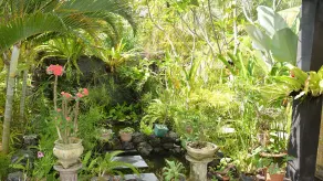 Villa Latebra - Image 5
