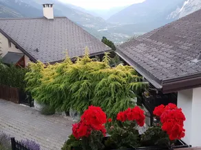 Mollens Chalet - Image 5