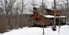 Treetops - Image 4